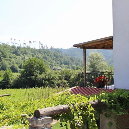 Agriturismo La Ferriera Pignone Dış mekan fotoğraf