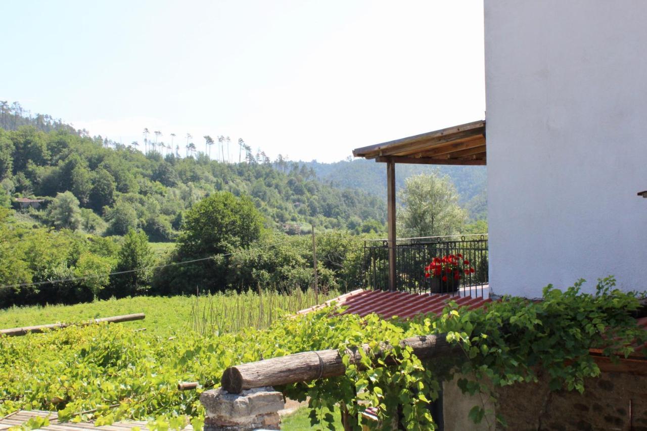 Agriturismo La Ferriera Pignone Dış mekan fotoğraf