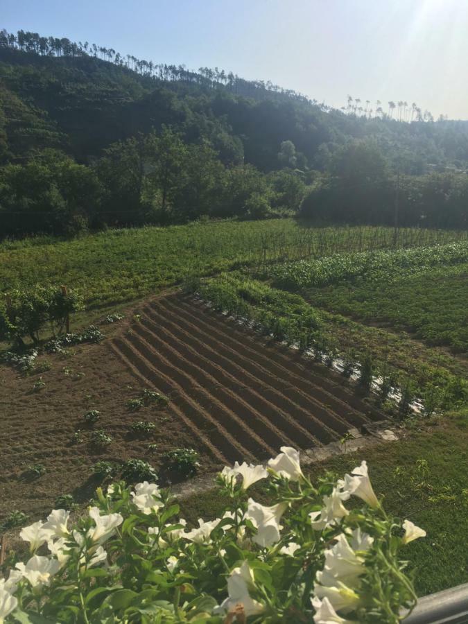 Agriturismo La Ferriera Pignone Dış mekan fotoğraf